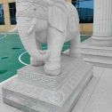 盐城 白麻花岗岩动物异形石雕-大象