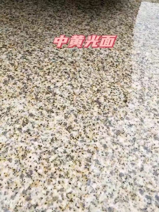 盐城黄金麻中黄光面